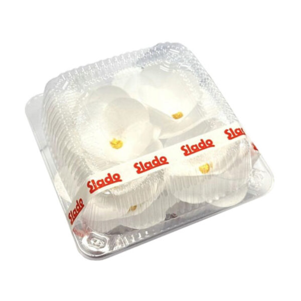 Slado – Decor flori de vafă – Camelii albe – 12buc